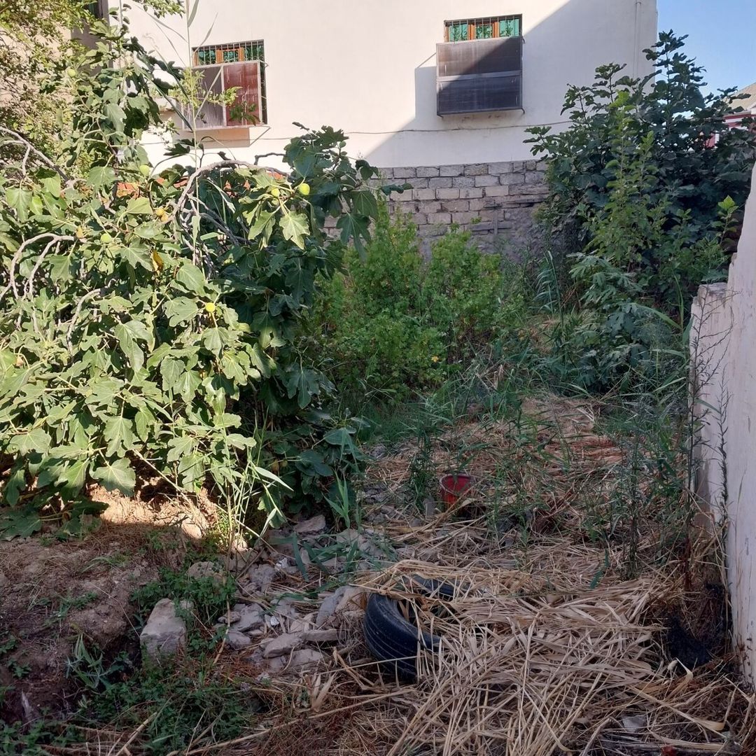 3.6 sot torpaq sahəsi, Bakıxanov qəs — Torpaq, Bakı (6)