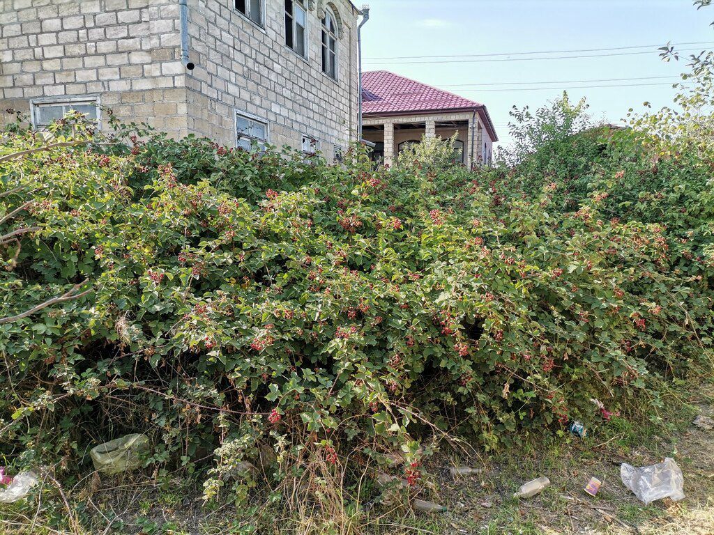 Həyət evi, Quba ş — Ev, villa, Quba (10)