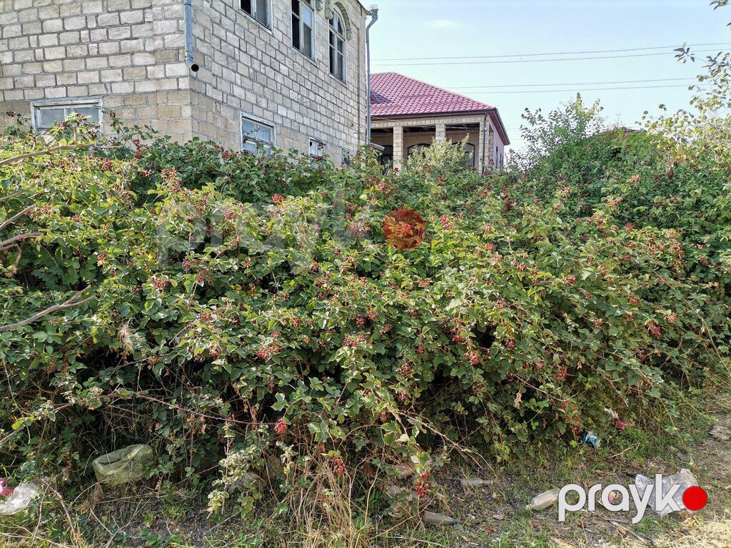 Həyət evi, Quba ş — Ev, villa, Quba (10)