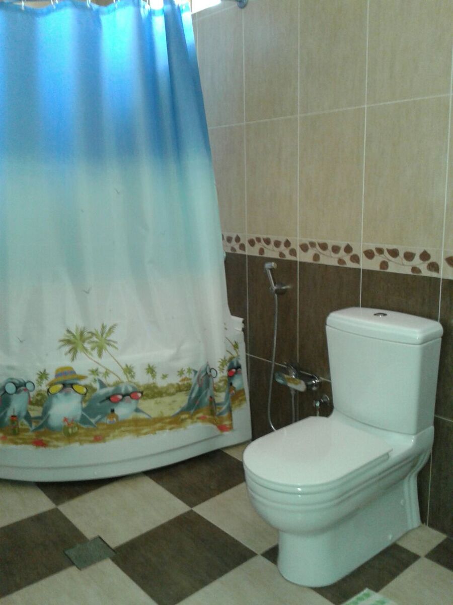 İcarəyə verilir 6 otaqlı həyət evi/bağ evi 300 m² — Ev, villa, Lənkəran (5)