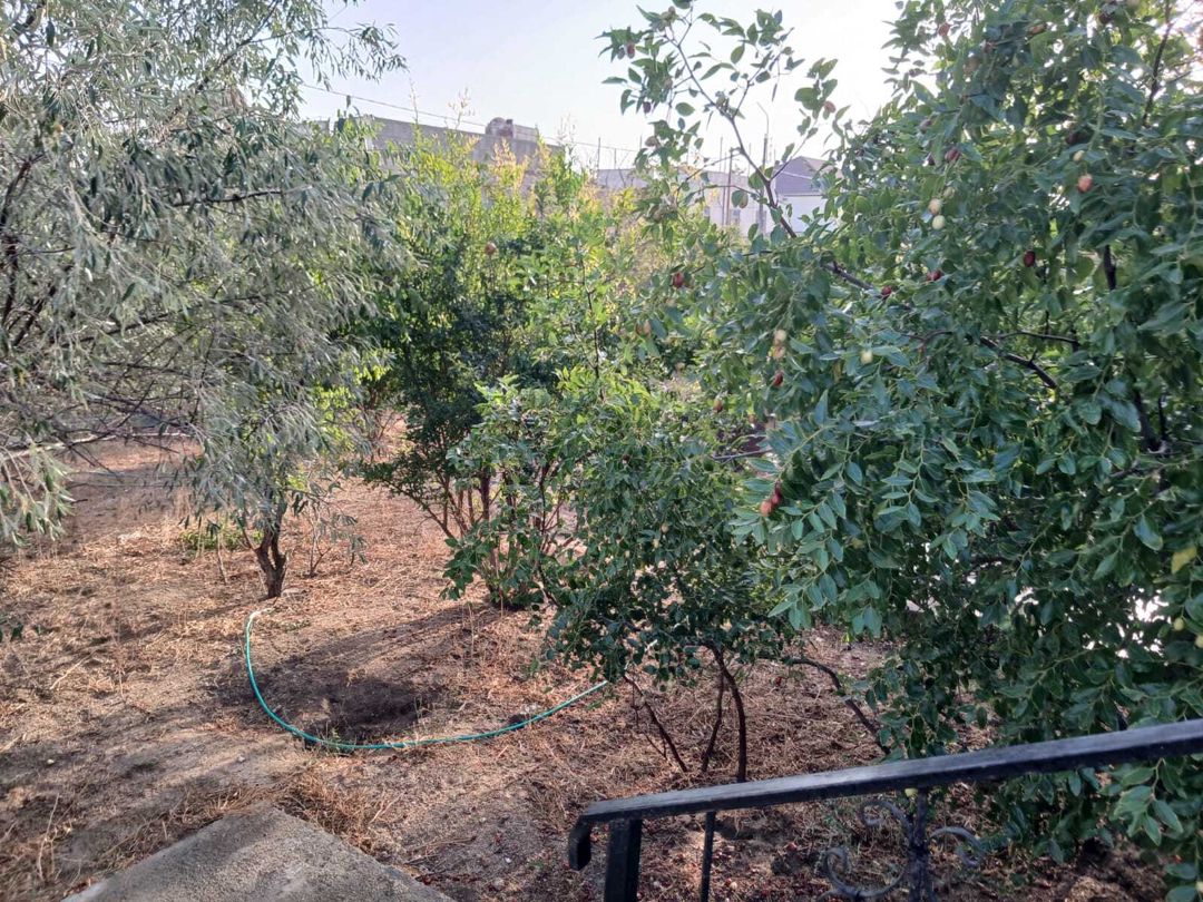 Bağ evi kirayə verilir, Hövsan qəs — Ev, villa, Bakı (5)