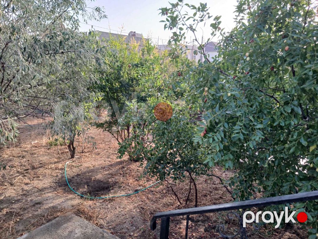 Bağ evi kirayə verilir, Hövsan qəs — Ev, villa, Bakı (5)
