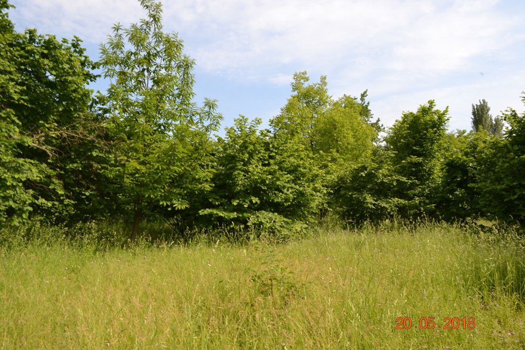 Satılır 4 otaqlı həyət evi/bağ evi 120 m² — Ev, villa, Oğuz (11)