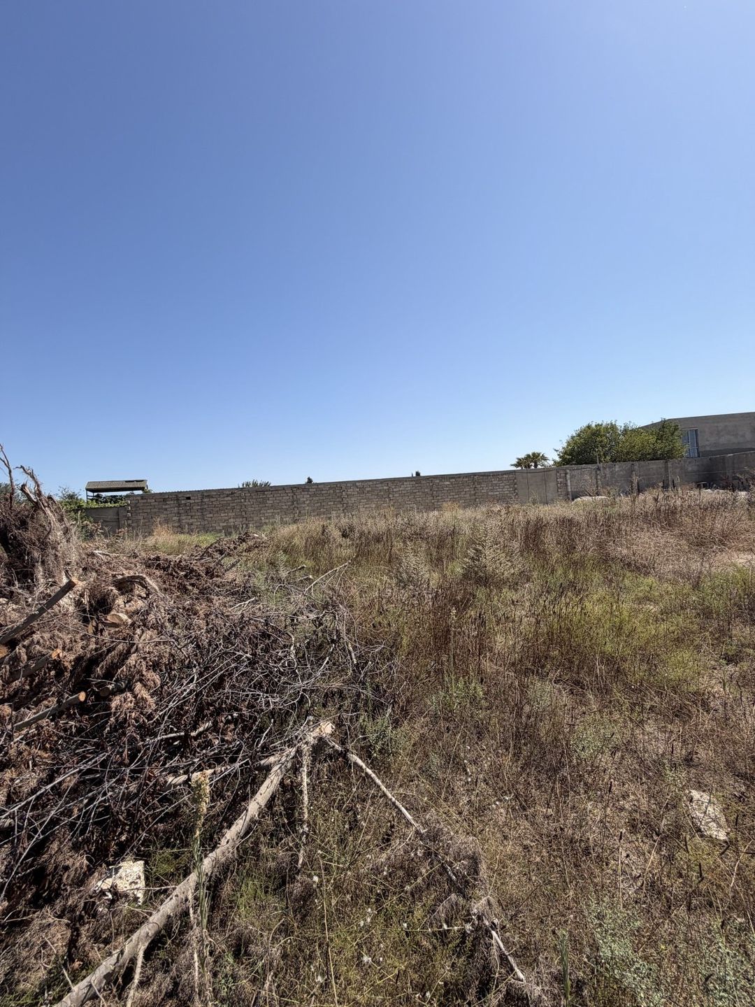 Satılır torpaq 25 sot — Torpaq, Bakı (4)