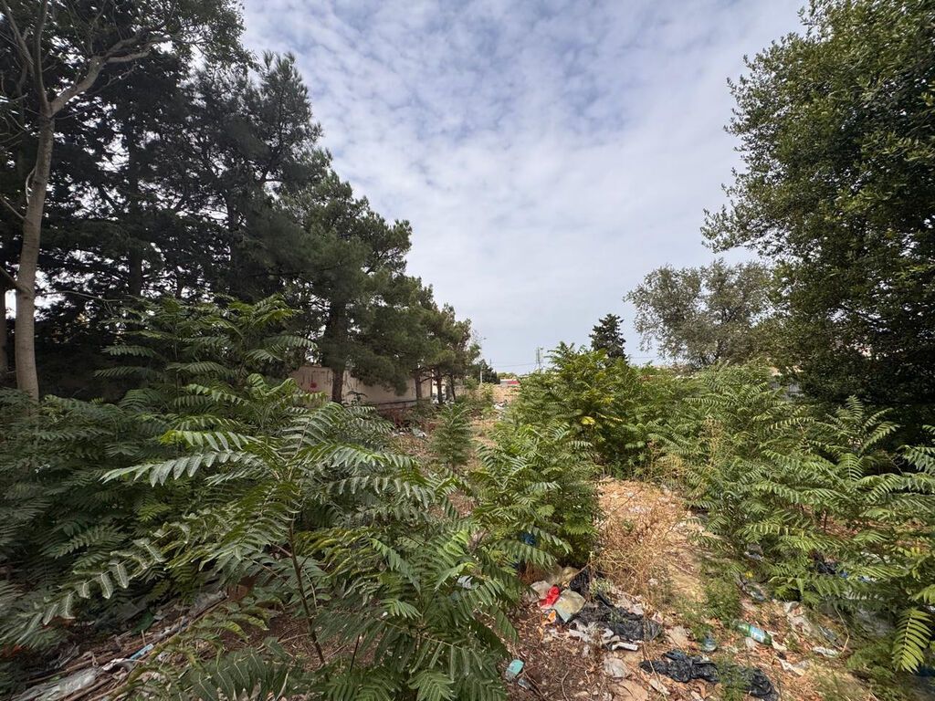 31 sot, Tikinti, Makler, Kupça (Çıxarış) — Torpaq, Bakı (8)