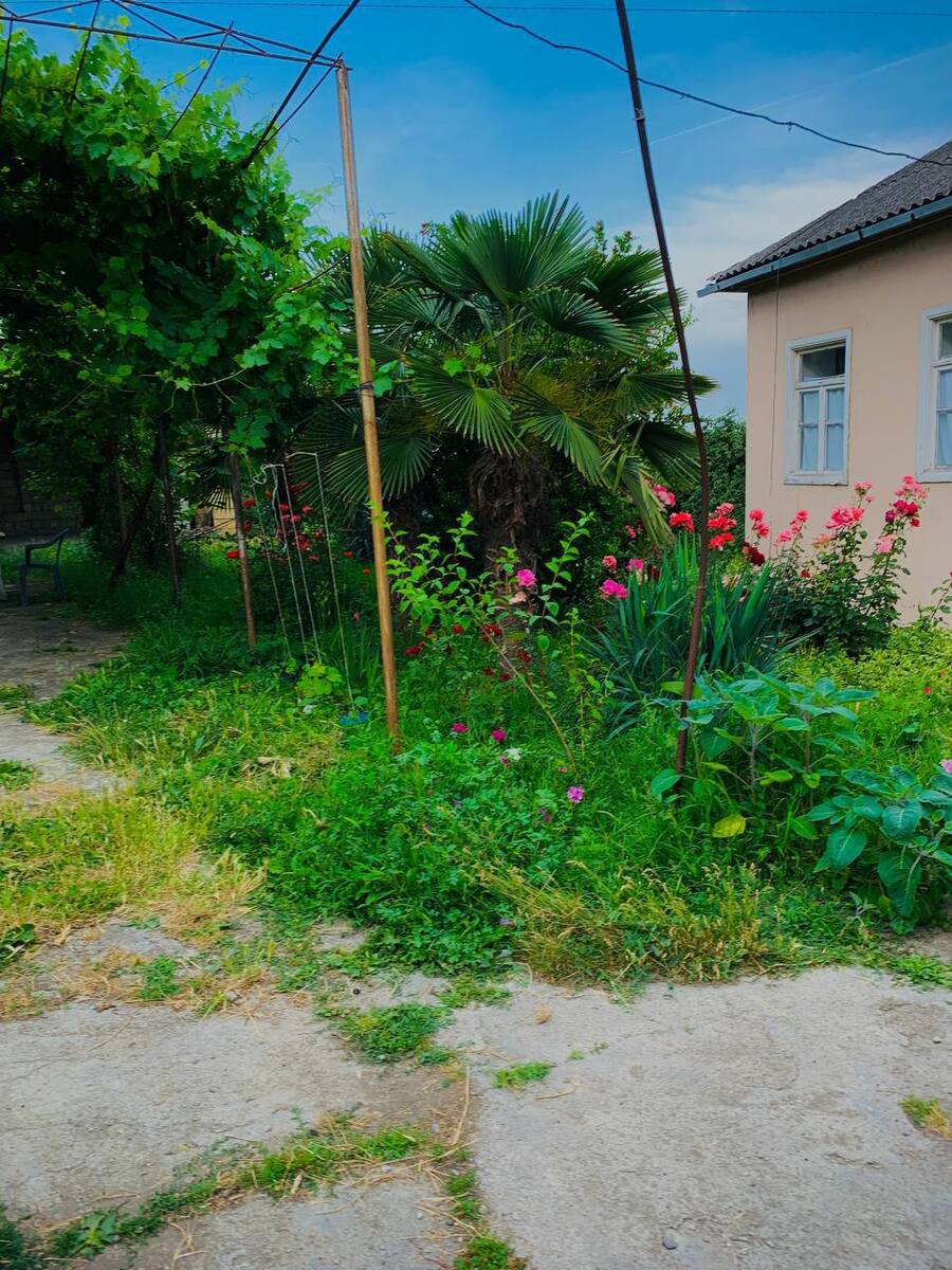 Satılır 6 otaqlı həyət evi/bağ evi 18000 m² — Ev, villa, Quba (2)