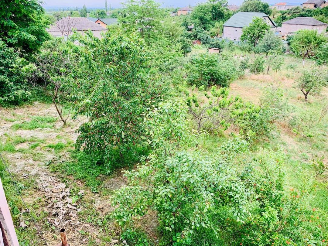 Satılır 6 otaqlı həyət evi/bağ evi 18000 m² — Ev, villa, Quba (12)
