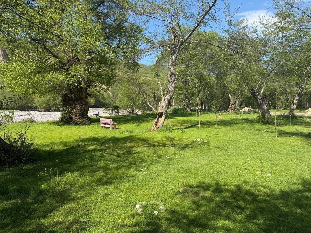 6 sot torpaq sahəsi, Qusar r — Torpaq, Qusar (12)