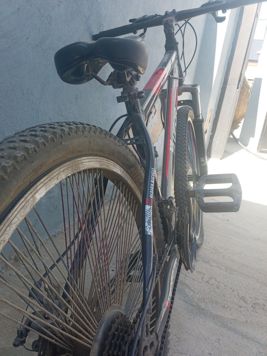 Velosiped — Velosipedlər, Bakı (2)