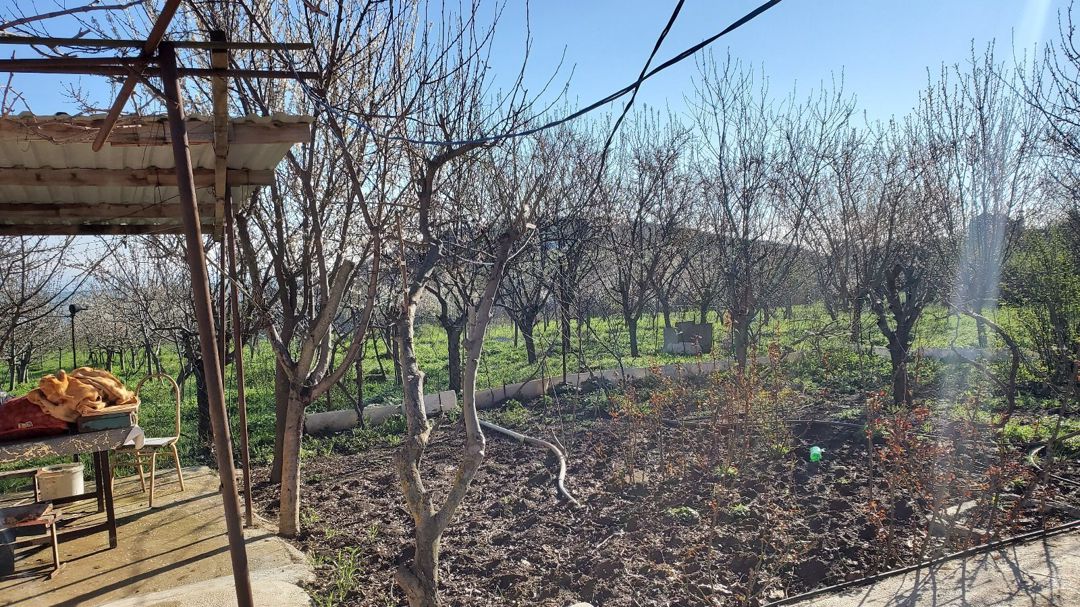 Bağ evi, Şabran r — Ev, villa, Şabran (12)