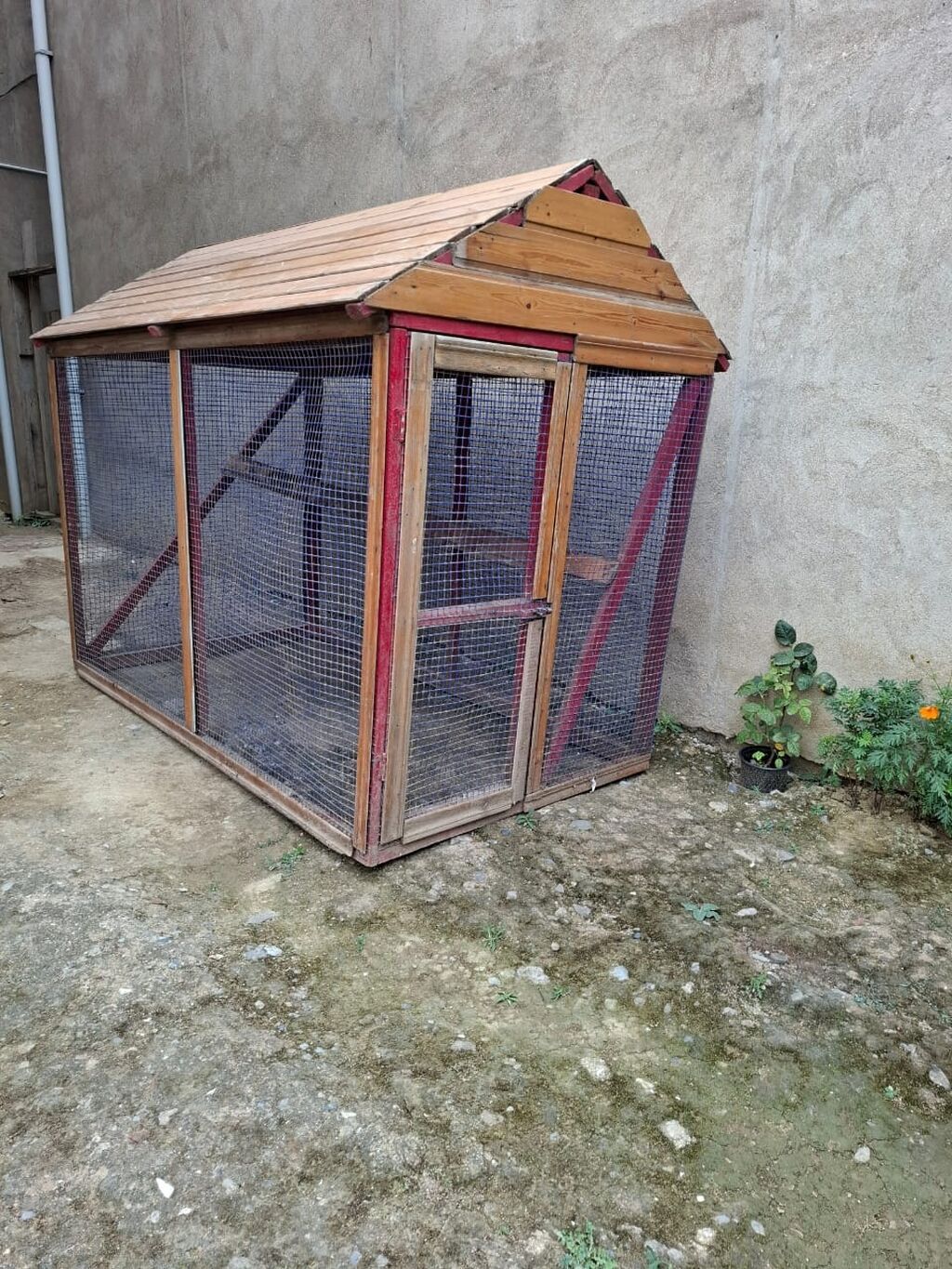 Taxta çərçivəli quş qəfəsi/mini toyuq kürəsi - Material: möhkəm taxta — Qəfəslər, Bakı (2)