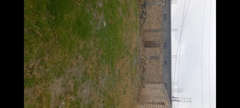 10 sot torpaq sahəsi, Sumqayıt ş — Torpaq, Sumqayıt (4)