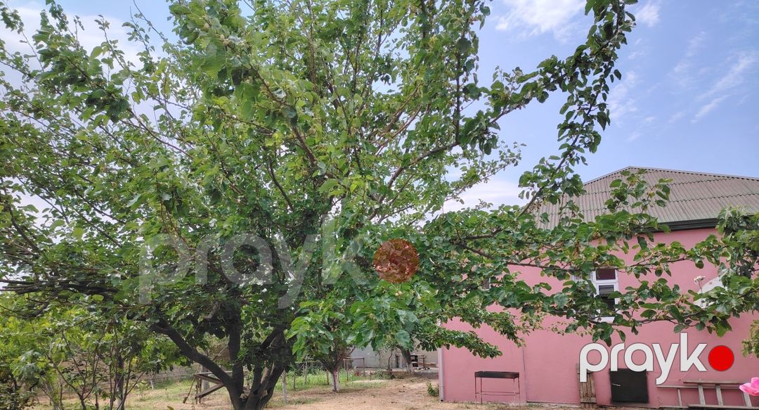 Bağ evi, Abşeron r — Ev, villa, Bakı (3)
