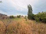 7 sot torpaq sahəsi, Buzovna qəs — Abşeron Bağları — Land plot