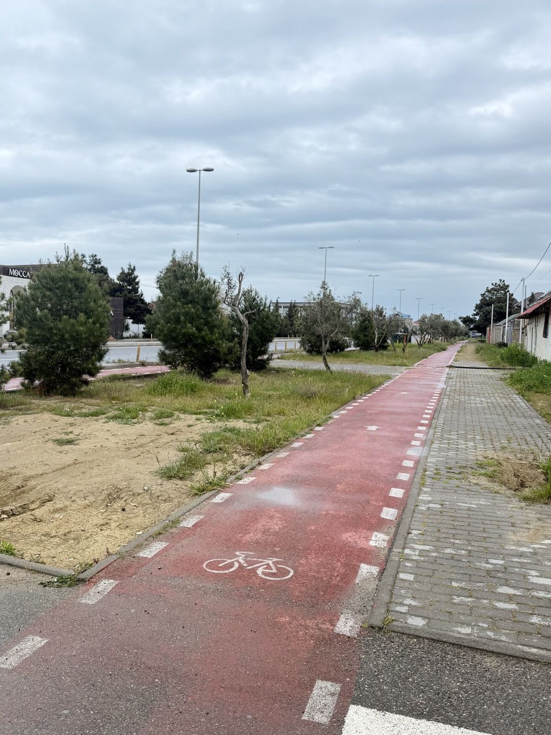 Satılır 4 otaqlı həyət evi/bağ evi 1150 m² — Ev, villa, Bakı (12)
