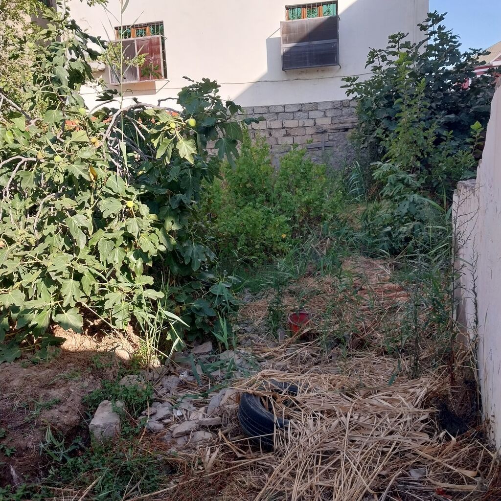 36 sot, Biznes üçün, Makler, Kupça (Çıxarış) — Torpaq, Bakı (6)