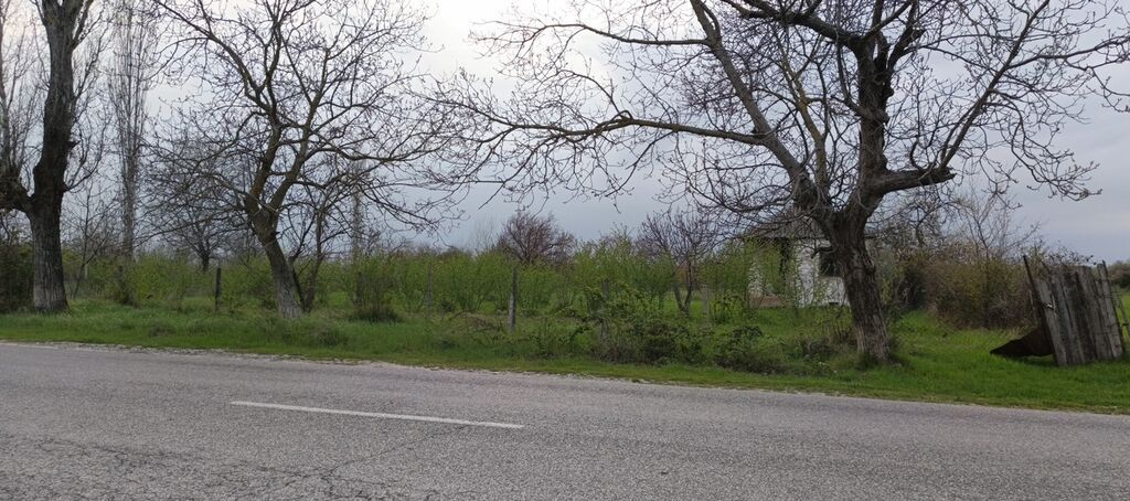 27 sot, Tikinti, Kupça (Çıxarış) — Torpaq, Xudat (2)