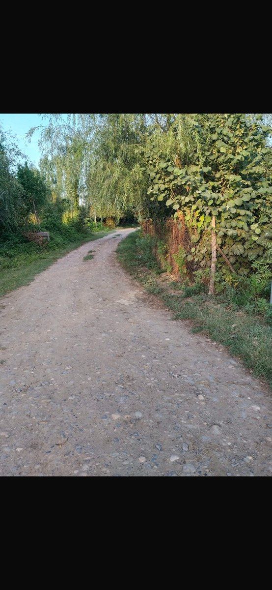 30 sot torpaq sahəsi, Çaxmaxlı kəndi — Torpaq, Xaçmaz (5)