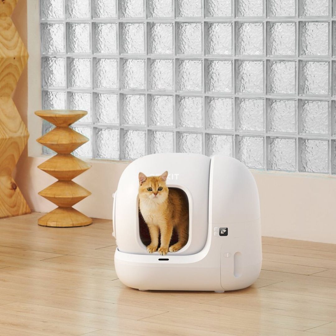 Petkit Pura Max 2 (P9902) — Heyvan malları, Bakı (3)