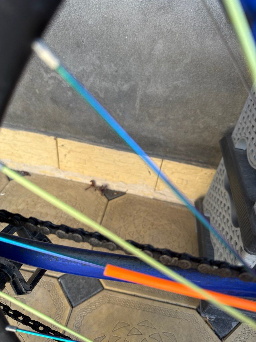 Velosiped — Velosipedlər, Gəncə (9)