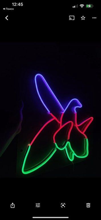 Neon işıqlar — Biznes və avadanlıq, Bakı (11)