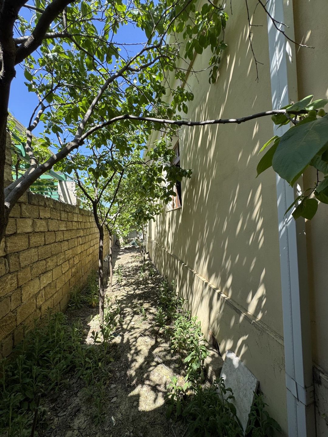 Satılır 3 otaqlı həyət evi/bağ evi 100 m² — Ev, villa, Bakı (8)