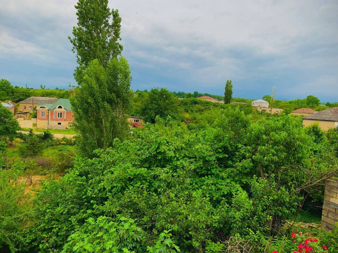 Satılır 6 otaqlı həyət evi/bağ evi 18000 m² — Ev, villa, Quba (11)