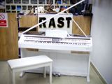 Elektro piano "Allegro RK - 222" — RAST Musiqi alətləri — Musical Instruments