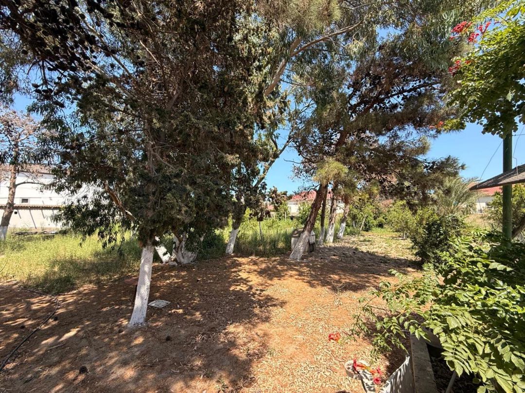 23 sot torpaq sahəsi, Mərdəkan qəs — Torpaq, Bakı (10)