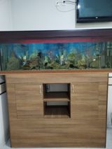 Akvarium — Senan