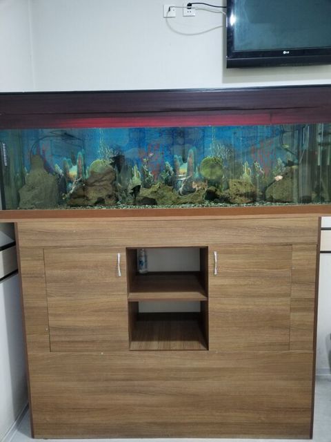 Akvarium — Sumqayıt