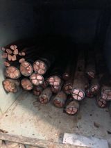 Anbarların sexlərin metaldan təmizlənməsi — Ustalar