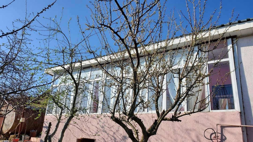 Bağ evi, Şabran r — Ev, villa, Şabran (9)