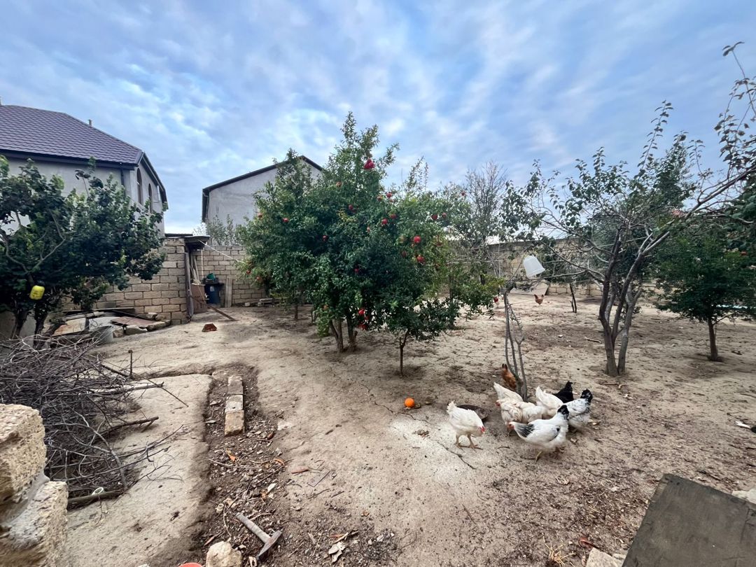 Həyət evi, Saray qəs — Ev, villa, Bakı (10)