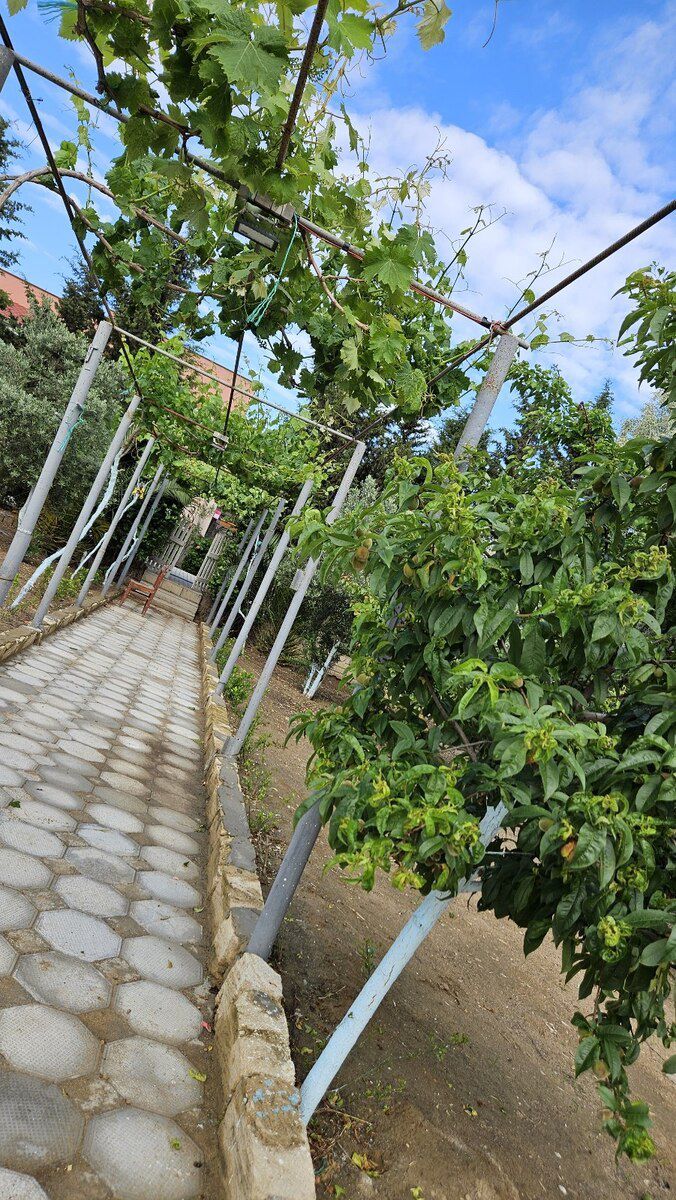 Bağ evi, Ləhiş bağları — Ev, villa, Bakı (5)