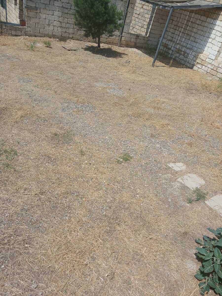 Satılır torpaq 3 sot — Torpaq, Bakı (4)