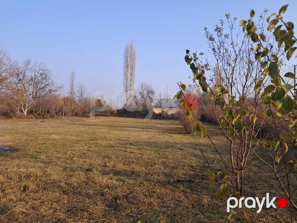 Tikinti — Torpaq, Göyçay (8)