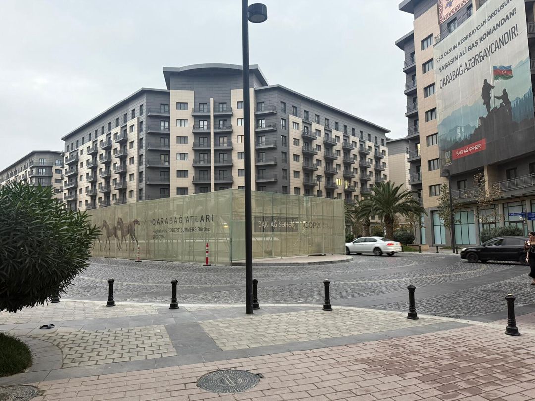 Satılır 5 otaqlı yeni tikili 250 m² — Mənzil, Bakı (4)
