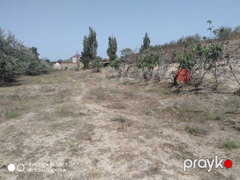 76 sot torpaq sahəsi, Qala qəs