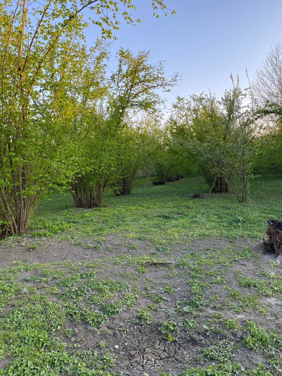 Satılır torpaq 24 sot — Torpaq, Qəbələ (5)