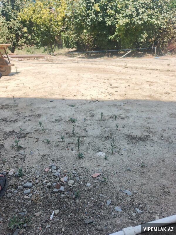 Sabunçu rayonunda Torpaq Satılır, 6 sot — Torpaq, Bakı (5)