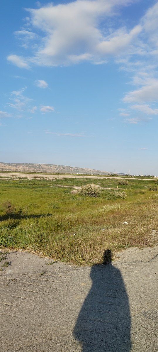 Satılır torpaq 186 sot — Torpaq, Bakı (2)