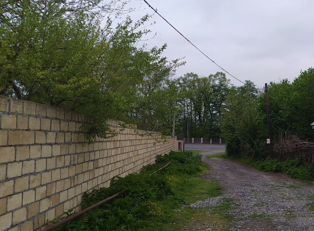 Satılır torpaq 24 sot — Torpaq, Qəbələ (8)