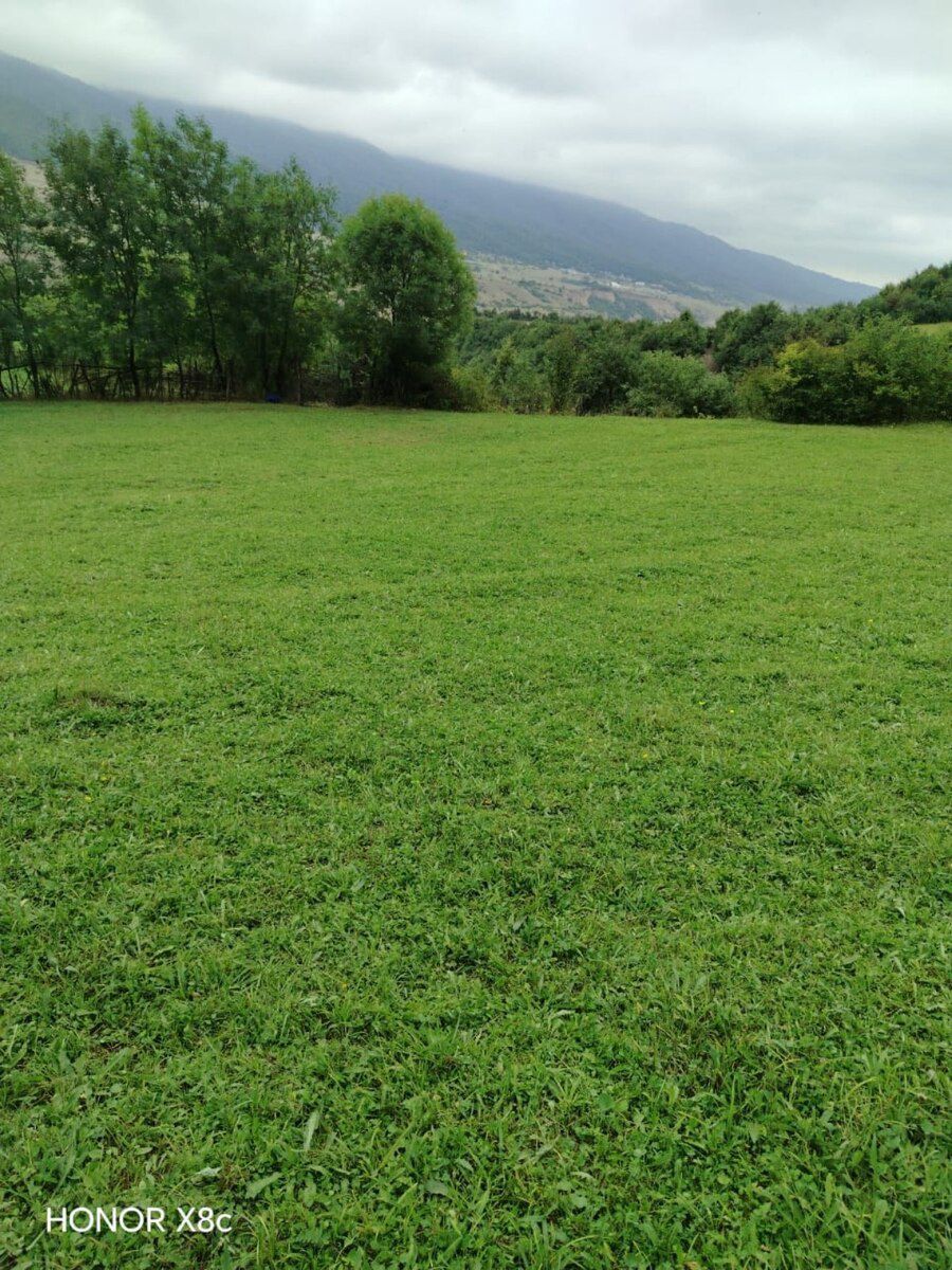 21 sot torpaq sahəsi, Qusar r — Torpaq, Qusar (5)