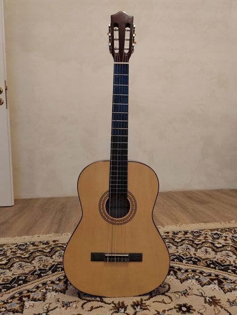 Klassik gitara, İşlənmiş, Ödənişli çatdırılma, Ünvandan götürmə, Pulsuz çatdırılma — Digah