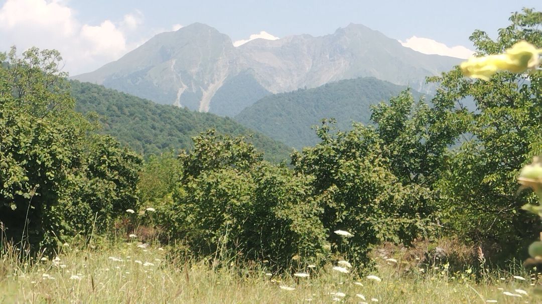 56 sot torpaq sahəsi, Qəbələ r — Torpaq, Qəbələ (3)