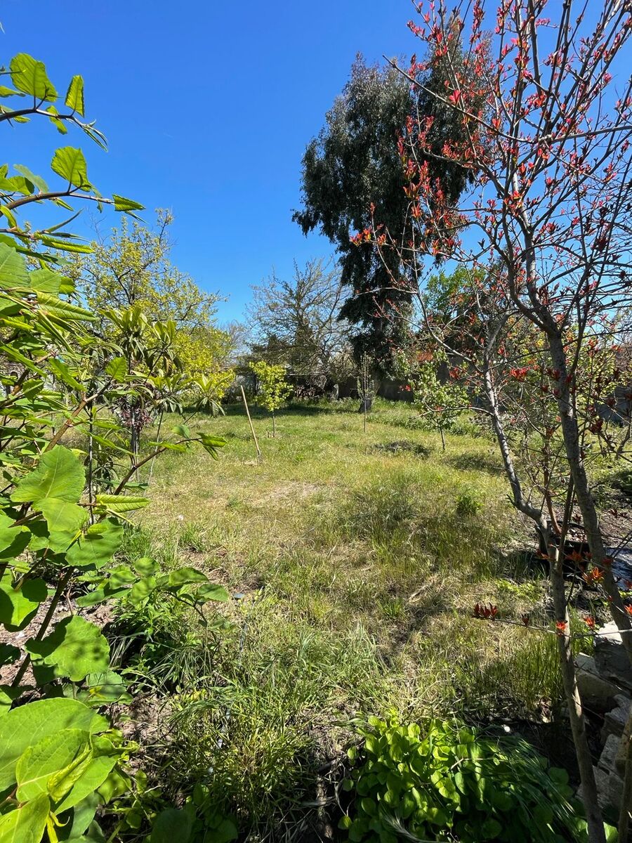 Satılır 5 otaqlı həyət evi/bağ evi 200 m² — Ev, villa, Bakı (6)
