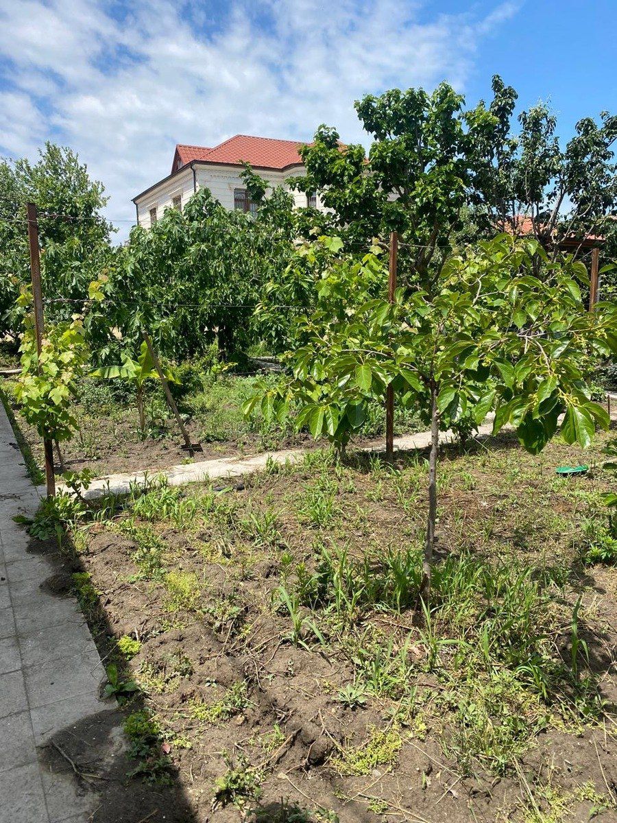 Satılır 7 otaqlı həyət evi/bağ evi 300 m² — Ev, villa, Bakı (11)
