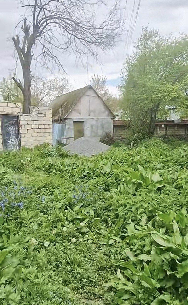 Satılır torpaq 3 sot — Torpaq, Qəbələ (2)
