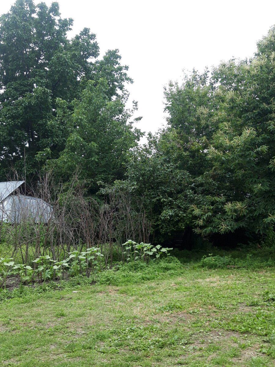 Həyət evi kirayə verilir, İsmayıllı r — Ev, villa, İsmayıllı (5)